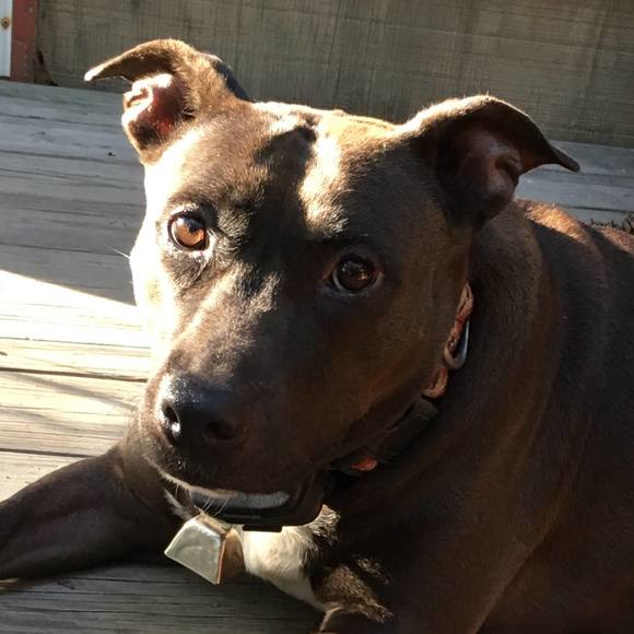 Meet your Posher, Shirley - Picture 1 of 1